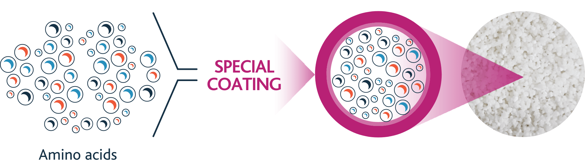 coating-info-img@2x Coating Information
